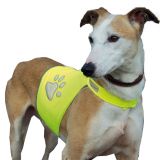 Hundewarnweste 