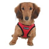 Soft Harness - Gre S