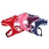 Vivien Harness A