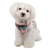 Classic harness B