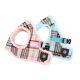 Classic harness B