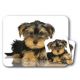 Mousepad & Untersetzer - 3er-Set